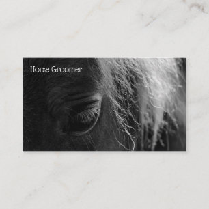 Carte De Visite Cheval Grooming