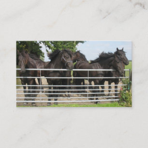 Carte De Visite Chevaux à la barrière