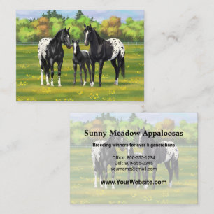 Carte De Visite Chevaux Appaloosa Noir Dans Les Pâturages D'Été