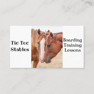 Carte De Visite Chevaux étourdissant dans un pâturage