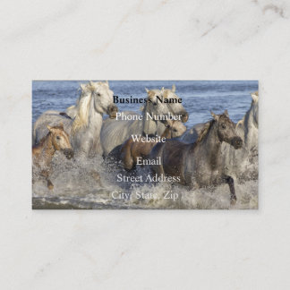 Carte De Visite Chevaux galopant dans l'eau