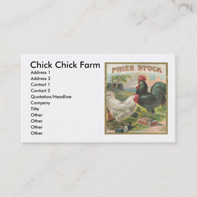 Carte De Visite Chick Chick (Devant)