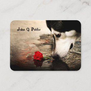 Carte De Visite Chien avec Rose rouge