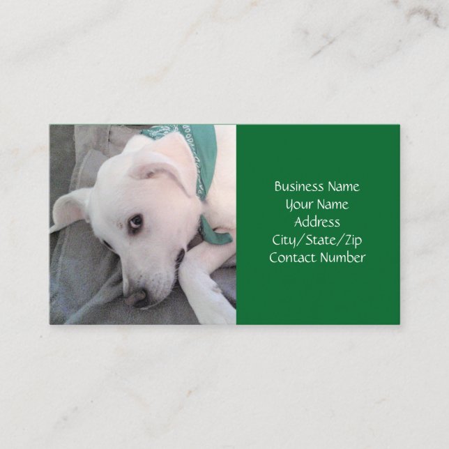 Carte De Visite Chien blanc mignon portant écaille verte affaires (Devant)