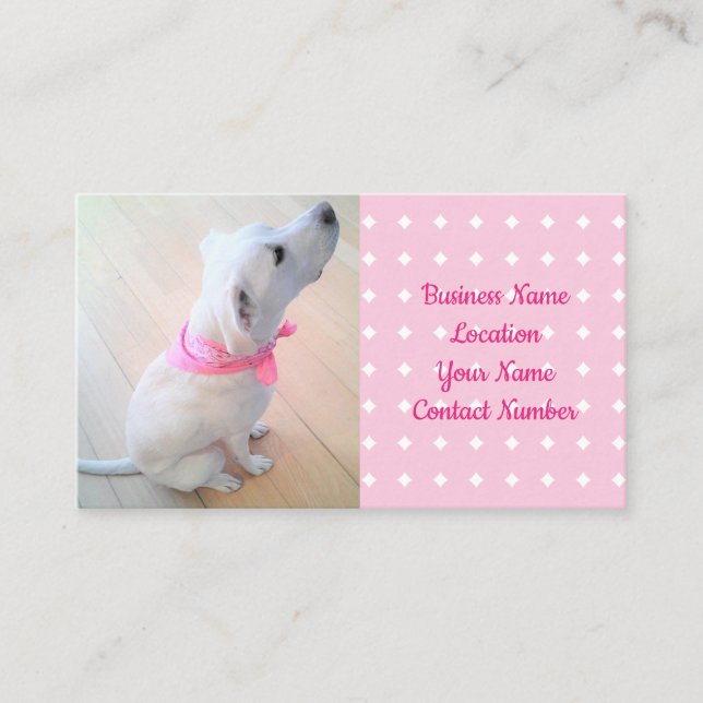 Carte De Visite Chien blanc mignon portant Écharpe rose animal (Devant)