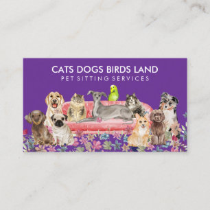 Carte De Visite Chien Chat Oiseau Hôtel Canapé Garde d'Animaux vio