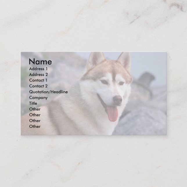 Carte De Visite Chien de traîneau sibérien (Devant)