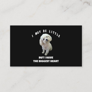 Carte De Visite Chien Maltais Petit Chien Maltais Design Drôle Cit