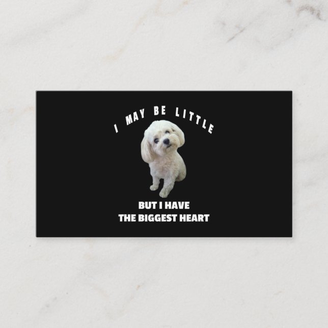 Carte De Visite Chien Maltais Petit Chien Maltais Design Drôle Cit (Devant)