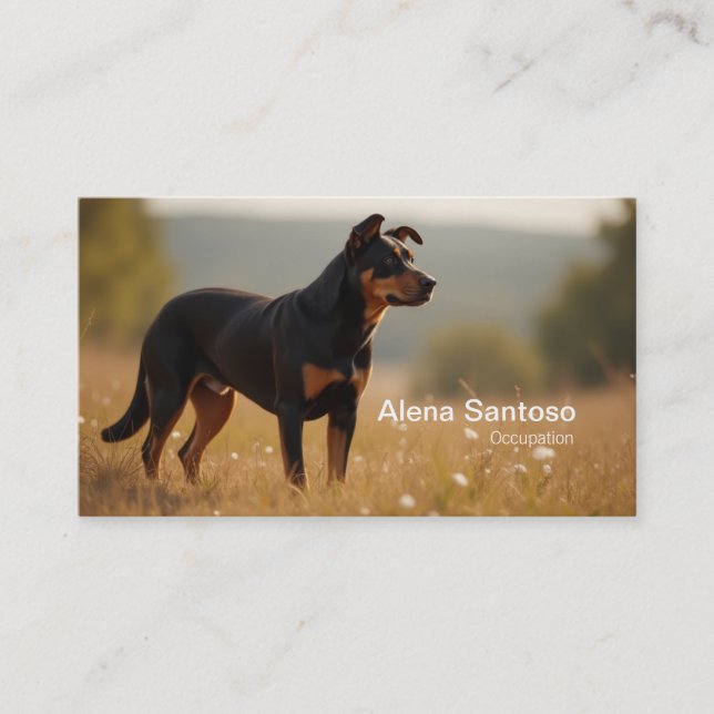 Carte De Visite Chien Rotweiller (Devant)