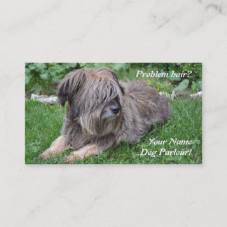 Carte De Visite Chien toilettant le chien de berger velu