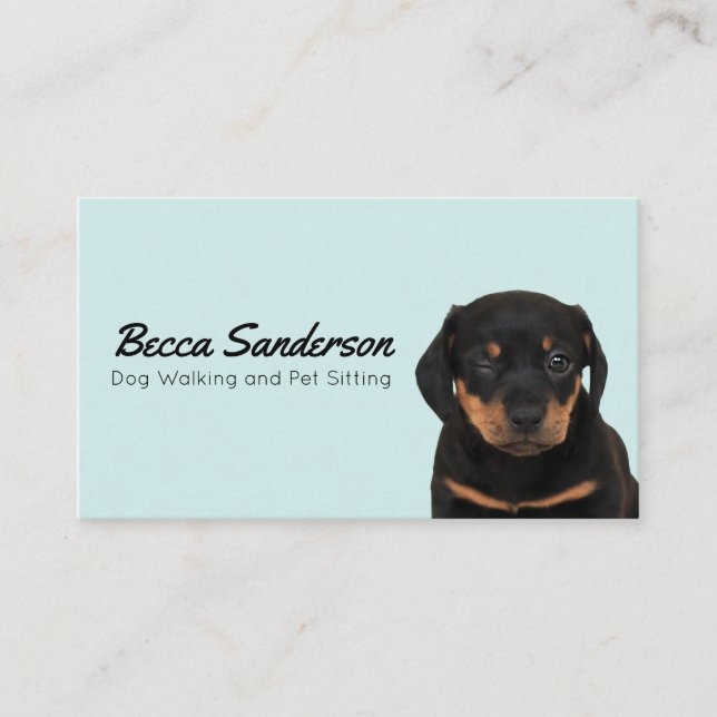 Carte De Visite Chien Walker, Groomer, Animateur, Aspirateur, Chie (Devant)