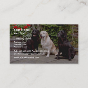 Carte De Visite Chiens d'arrêt de Labrador du blanc trois reposan