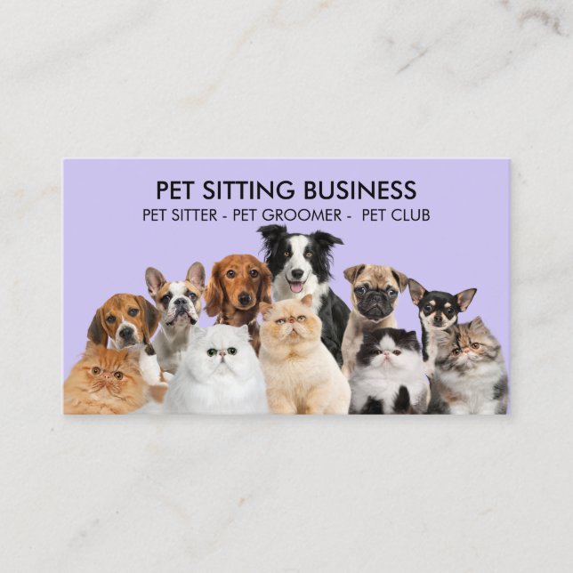 Carte De Visite Chiens de compagnie pourpres et amusants Chats (Devant)
