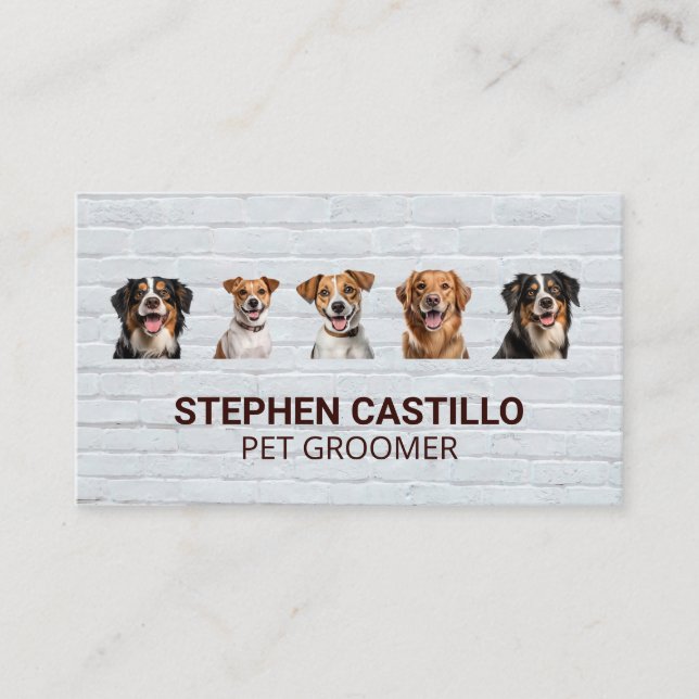 Carte De Visite Chiens souriants | Mur en briques (Devant)