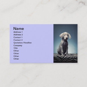 Carte De Visite Chiot de Weimaraner