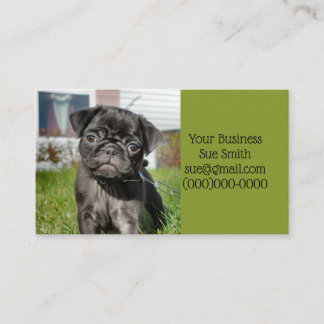 Carte De Visite Chiot en carlin noir