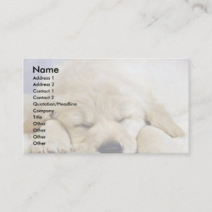 Carte De Visite Chiot endormi
