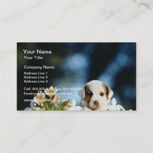 Carte De Visite Chiot jaune avec les oreilles brunes regardant