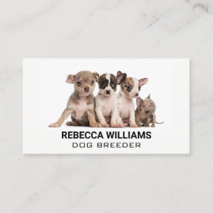 Carte De Visite Chipies dans un groupe