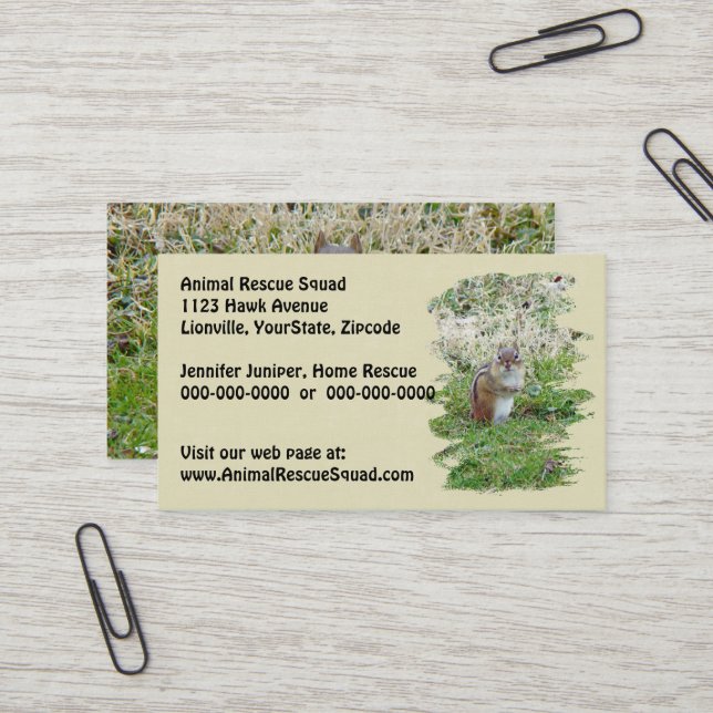 Carte De Visite Chipmunk oriental - Tamias striatus (Devant/Arrière en situation)