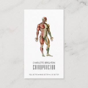 Carte De Visite Chiropraticien du corps anatomique