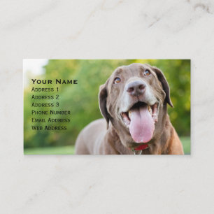 Carte De Visite Chocolat Labrador Chien