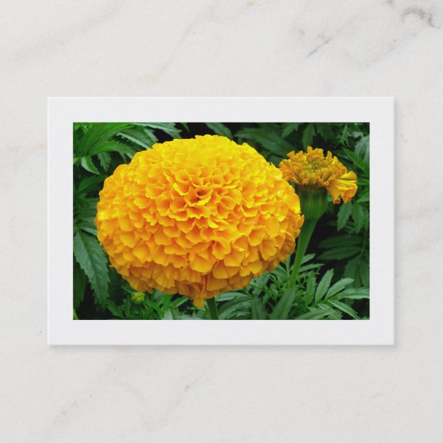 Carte De Visite Chrysanthème orange (Devant)