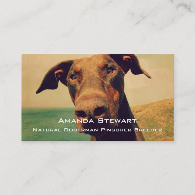 Carte De Visite Closeudo drôle d'un chien Doberman naturel (Devant)