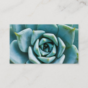 Carte De Visite Closeup Succulent