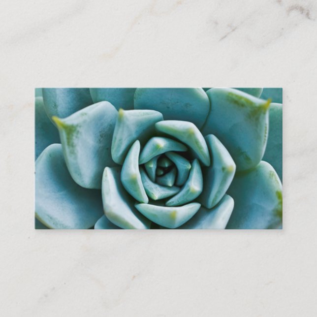 Carte De Visite Closeup Succulent (Devant)