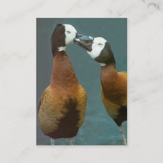 Carte De Visite Coach Thérapeute Amoureux Canards - Deux côtés (Devant)