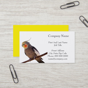 Carte De Visite Cockatiel gris et jaune Pet Oiseau couleur photo