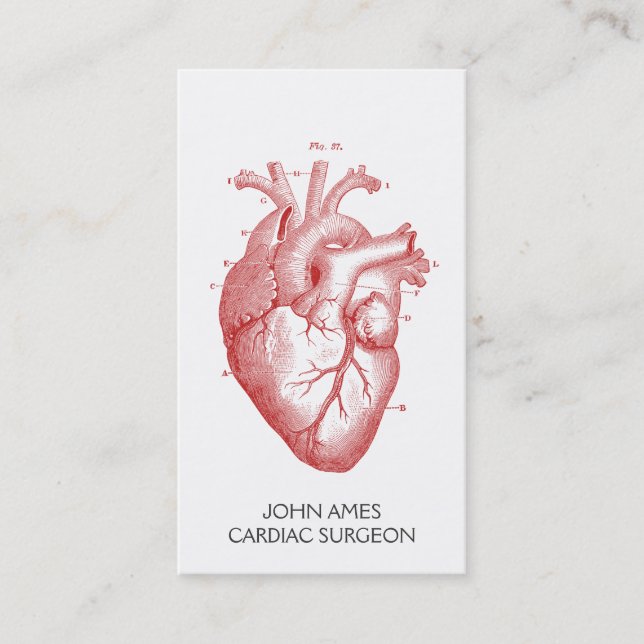 Carte De Visite Coeur anatomique Chirurgien cardiaque Médicale (Devant)