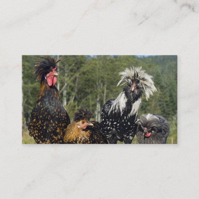 Carte De Visite Coiffeur/établissement d'incubation - bilatéral (Devant)