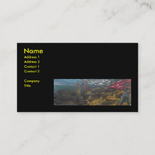 CARTE DE VISITE COINCÉ AVEC GEORGE 
