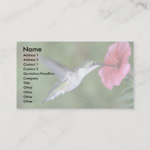 Carte De Visite Colibri à gorge rubis (femelle) avec pétunia