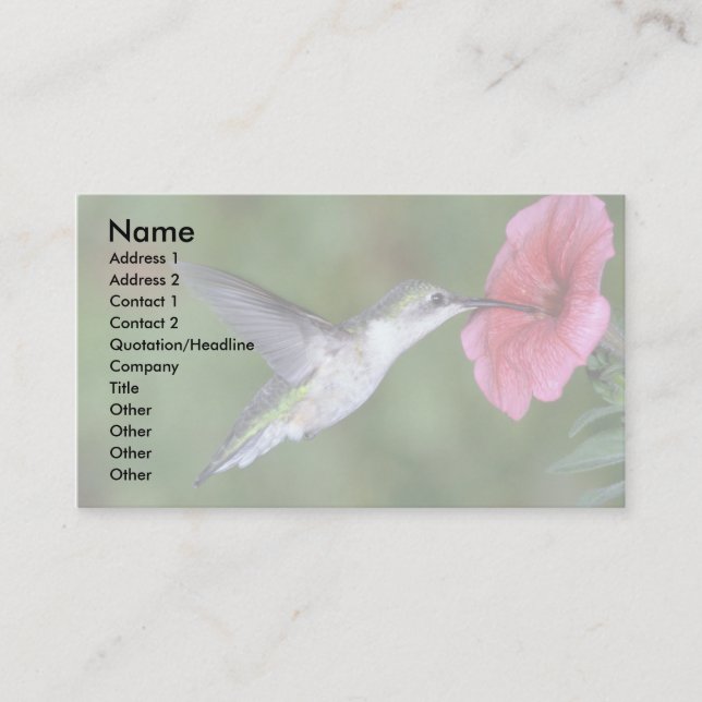 Carte De Visite Colibri à gorge rubis (femelle) avec pétunia (Devant)