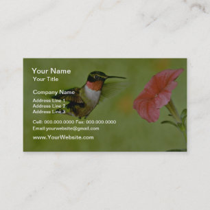 Carte De Visite Colibri à gorge rubis (mâle) à pétunia rose