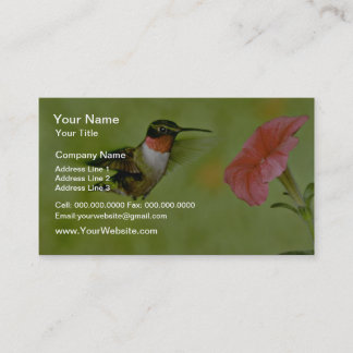 Carte De Visite Colibri à gorge rubis (mâle) à pétunia rose