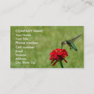Carte De Visite Colibri et Zinnia rouge