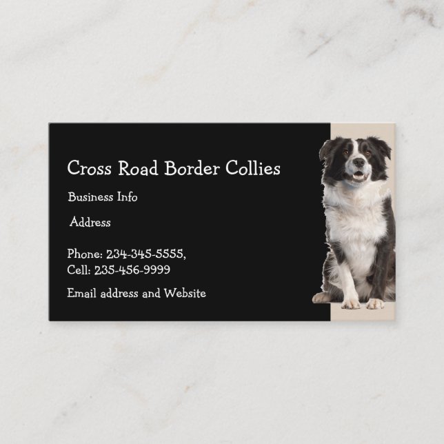 Carte De Visite Collies à la frontière personnalisées Chien animal (Devant)
