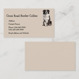 Carte De Visite Collies frontalières personnalisées Chien Animaux 