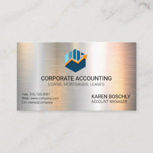 Carte De Visite Comptabilité graphique à barres   Icône Argent   M