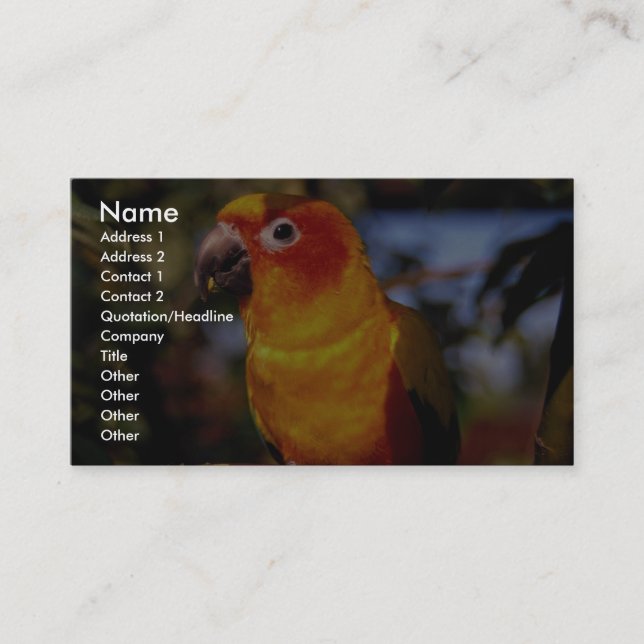 Carte De Visite Conure de Sun (Devant)