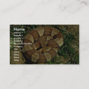 Carte De Visite copperhead Large-réuni