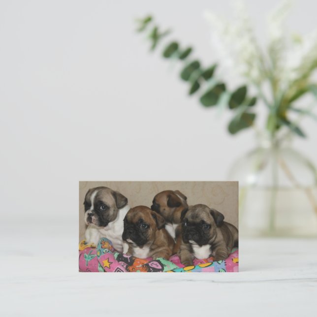 Carte De Visite Coussin bouledogues français Bulldogue français (Debout devant)
