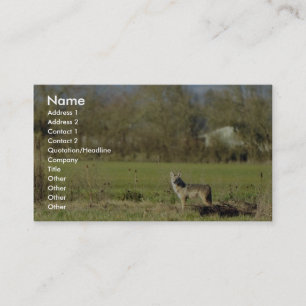 Carte De Visite Coyote