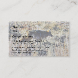 Carte De Visite Coyotes de Fox Anilmal sauvage dans le domaine