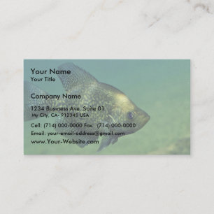 Carte De Visite Crapet noir